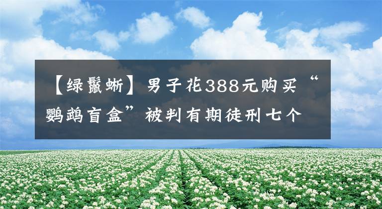 【绿鬣蜥】男子花388元购买“鹦鹉盲盒”被判有期徒刑七个月