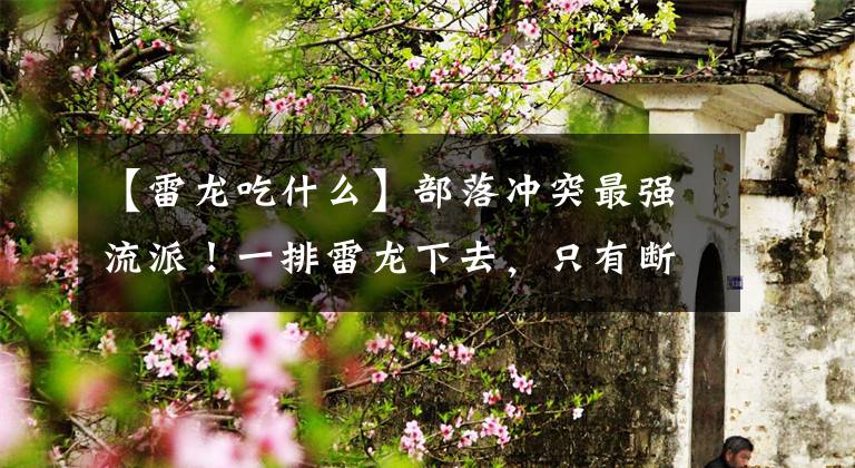 【雷龙吃什么】部落冲突最强流派！一排雷龙下去，只有断网法术才能克制他