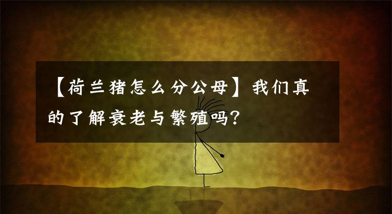 【荷兰猪怎么分公母】我们真的了解衰老与繁殖吗？
