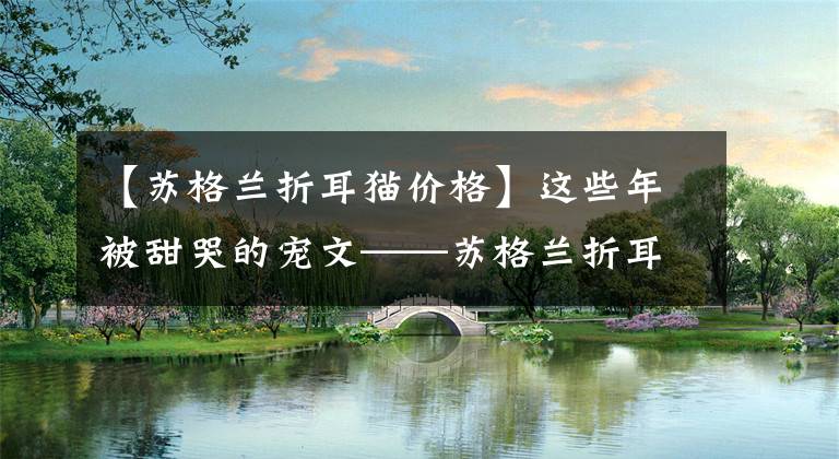 【苏格兰折耳猫价格】这些年被甜哭的宠文——苏格兰折耳猫合集