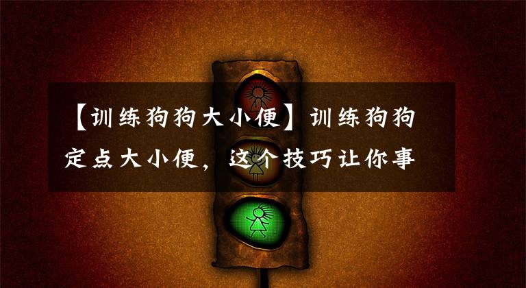 【训练狗狗大小便】训练狗狗定点大小便，这个技巧让你事半功倍