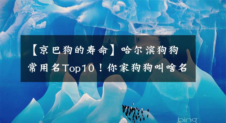 【京巴狗的寿命】哈尔滨狗狗常用名Top10!你家狗狗叫啥名?