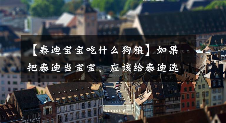 【泰迪宝宝吃什么狗粮】如果把泰迪当宝宝,应该给泰迪选什么狗粮?