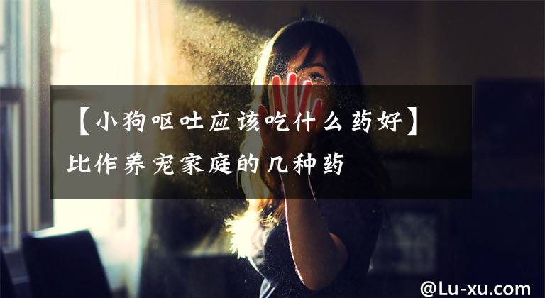 【小狗呕吐应该吃什么药好】比作养宠家庭的几种药