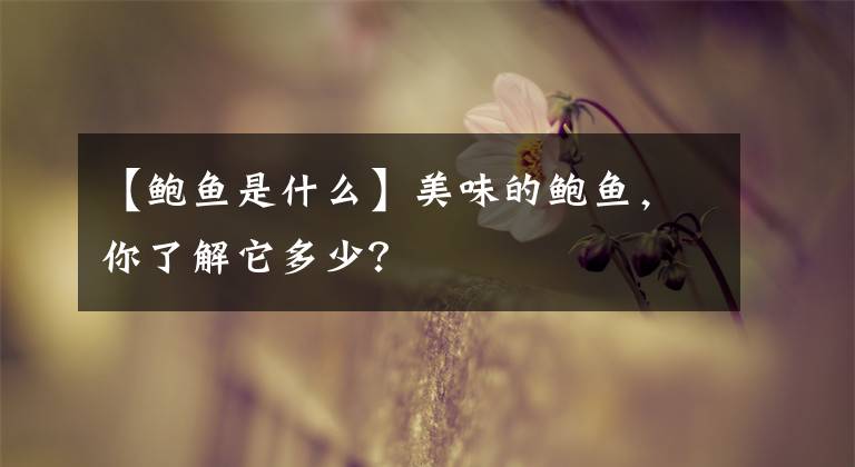 【鲍鱼是什么】美味的鲍鱼，你了解它多少？