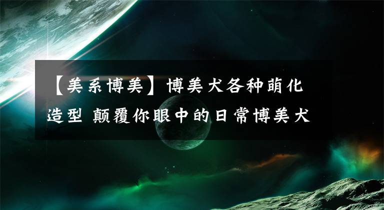 【美系博美】博美犬各种萌化造型 颠覆你眼中的日常博美犬