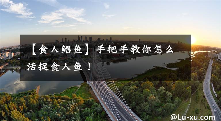 【食人鲳鱼】手把手教你怎么活捉食人鱼!
