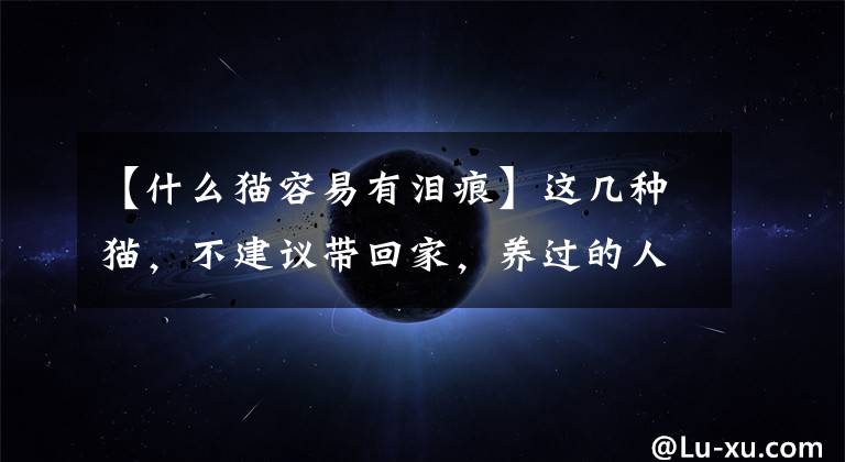 【什么猫容易有泪痕】这几种猫,不建议带回家,养过的人才懂