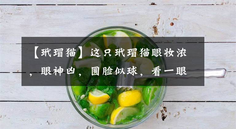 【玳瑁猫】这只玳瑁猫眼妆浓，眼神凶，圆脸似球，看一眼就醉了