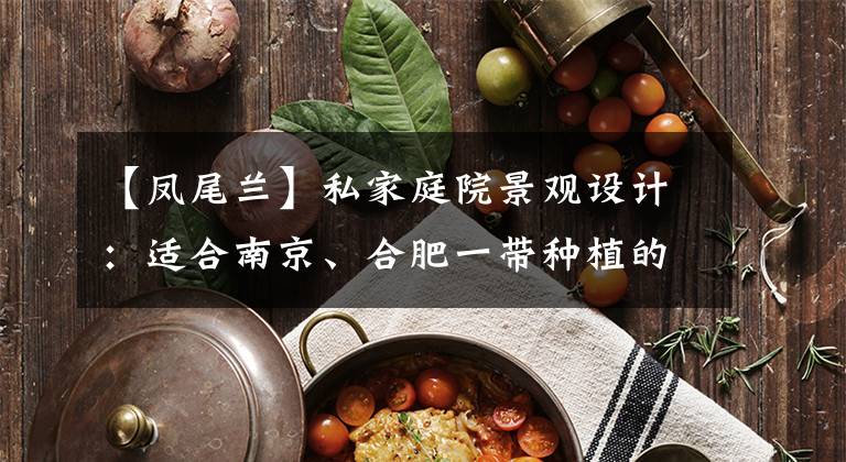 【凤尾兰】私家庭院景观设计：适合南京、合肥一带种植的常绿灌木