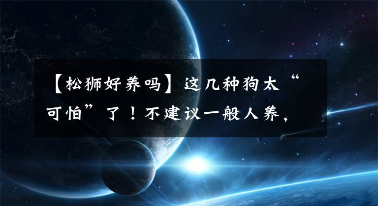 【松狮好养吗】这几种狗太“可怕”了!不建议一般人养,怕你承受不来