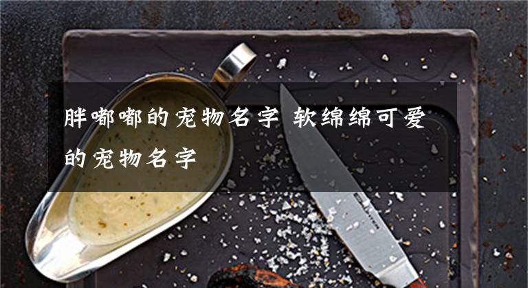 胖嘟嘟的宠物名字 软绵绵可爱的宠物名字