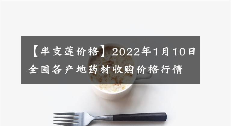 【半支莲价格】2022年1月10日全国各产地药材收购价格行情