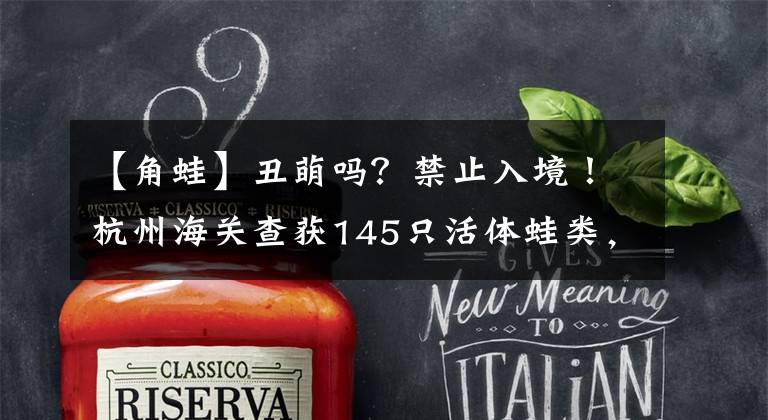 【角蛙】丑萌吗?禁止入境!杭州海关查获145只活体蛙类,证实为南美角蛙