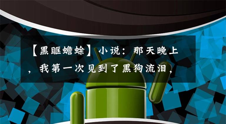 【黑眶蟾蜍】小说：那天晚上，我第一次见到了黑狗流泪，心中感觉到很不对劲