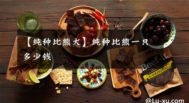 【纯种比熊犬】纯种比熊一只多少钱