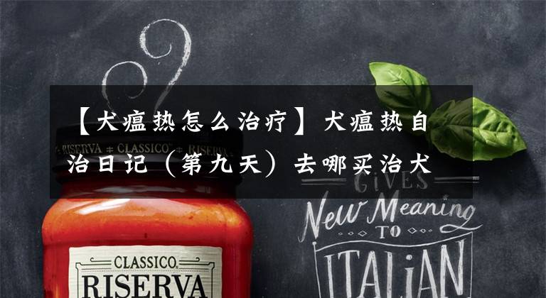 【犬瘟热怎么治疗】犬瘟热自治日记(第九天)去哪买治犬瘟的药