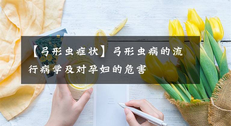 【弓形虫症状】弓形虫病的流行病学及对孕妇的危害