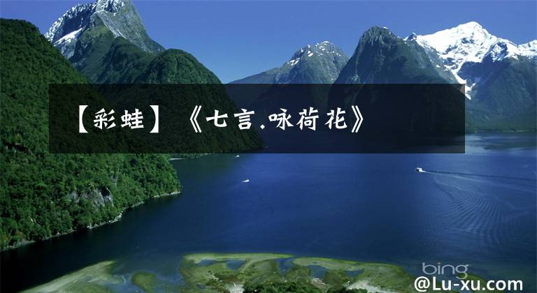 【彩蛙】《七言.咏荷花》