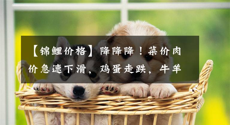 【锦鲤价格】降降降!菜价肉价急速下滑,鸡蛋走跌,牛羊肉回落,消费自由了?
