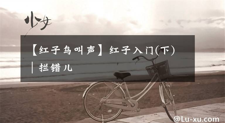 【红子鸟叫声】红子入门(下)｜拦错儿