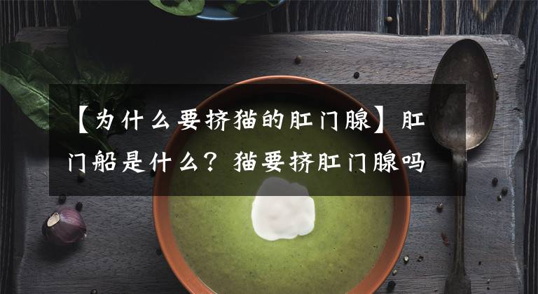 【为什么要挤猫的肛门腺】肛门船是什么?猫要挤肛门腺吗?