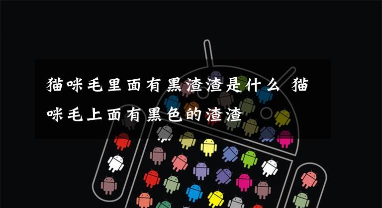 猫咪毛里面有黑渣渣是什么 猫咪毛上面有黑色的渣渣
