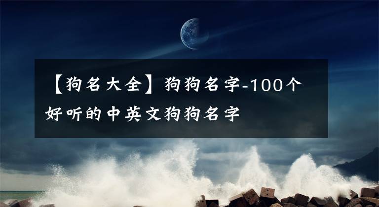 【狗名大全】狗狗名字-100个好听的中英文狗狗名字
