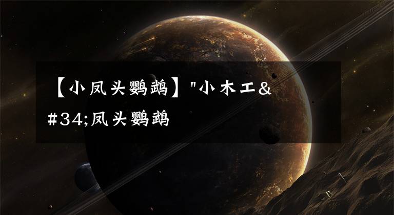 【小凤头鹦鹉】"小木工"凤头鹦鹉