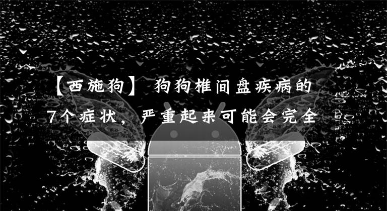 【西施狗】 狗狗椎间盘疾病的7个症状，严重起来可能会完全瘫痪