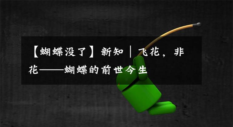 【蝴蝶没了】新知｜飞花，非花——蝴蝶的前世今生