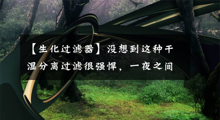 【生化过滤器】没想到这种干湿分离过滤很强悍，一夜之间缸底的粪便没了