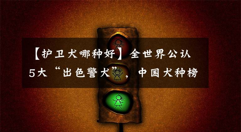 【护卫犬哪种好】全世界公认5大“出色警犬”，中国犬种榜上有名