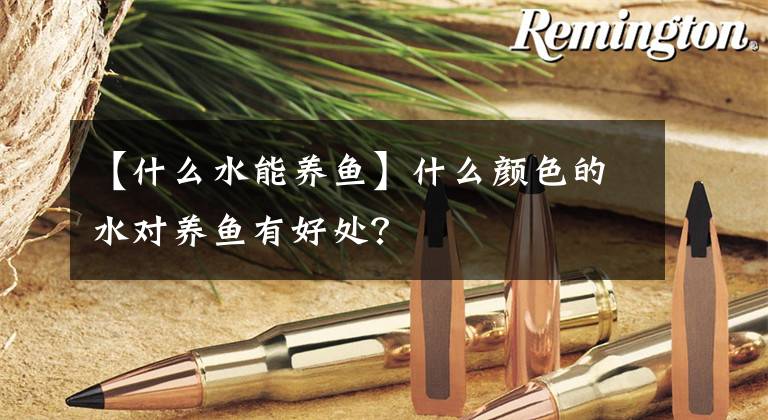 【什么水能养鱼】什么颜色的水对养鱼有好处?