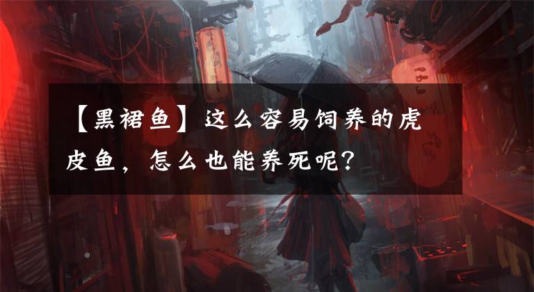 【黑裙鱼】这么容易饲养的虎皮鱼，怎么也能养死呢？