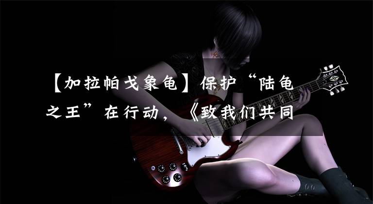 【加拉帕戈象龟】保护“陆龟之王”在行动，《致我们共同的地球》走近“象龟妈妈”郝梦媛