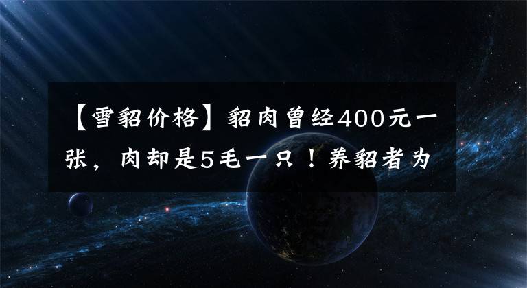 【雪貂价格】貂肉曾经400元一张，肉却是5毛一只！养貂者为你揭开行业的秘密