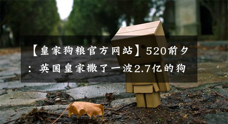 【皇家狗粮官方网站】520前夕：英国皇家撒了一波2.7亿的狗粮！