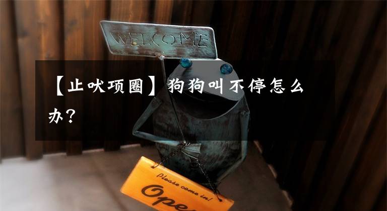 【止吠项圈】狗狗叫不停怎么办？