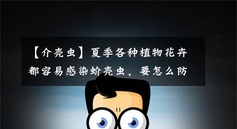 【介壳虫】夏季各种植物花卉都容易感染蚧壳虫，要怎么防治？