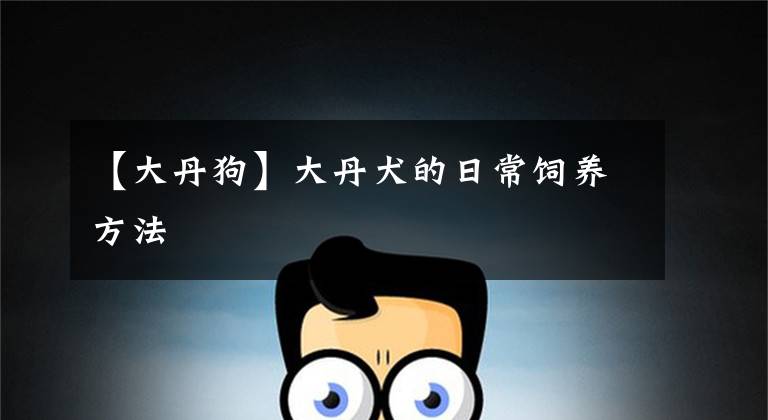 【大丹狗】大丹犬的日常饲养方法