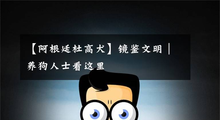 【阿根廷杜高犬】镜鉴文明|养狗人士看这里