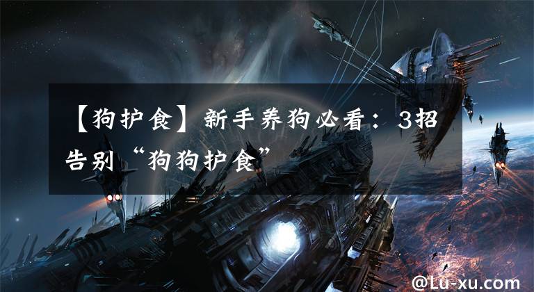 【狗护食】新手养狗必看:3招告别“狗狗护食”