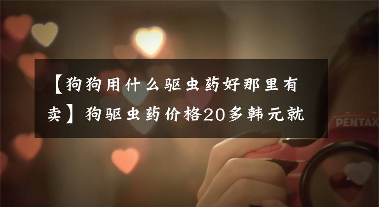 【狗狗用什么驱虫药好那里有卖】狗驱虫药价格20多韩元就能买到好药