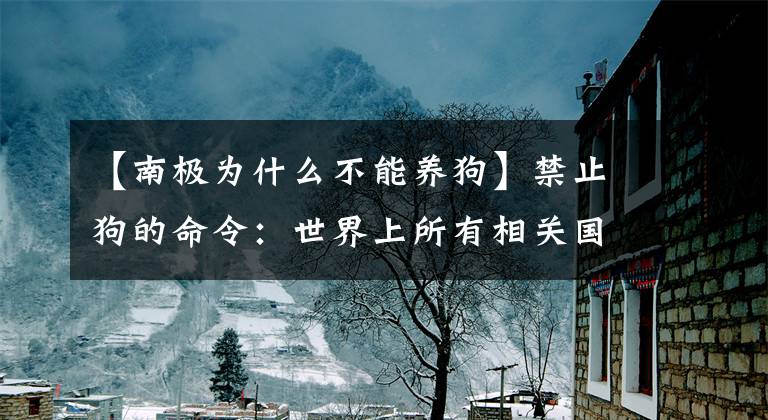 【南极为什么不能养狗】禁止狗的命令:世界上所有相关国家都遵守禁令,向南极提出没有狗的要求