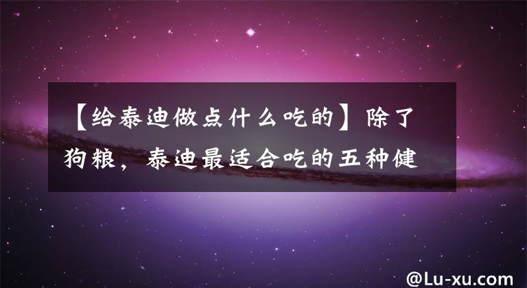 【给泰迪做点什么吃的】除了狗粮，泰迪最适合吃的五种健康的“认知”反正也不贵。