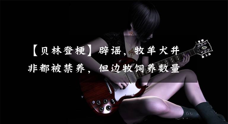 【贝林登梗】辟谣,牧羊犬并非都被禁养,但边牧饲养数量减少,离不开三点原因