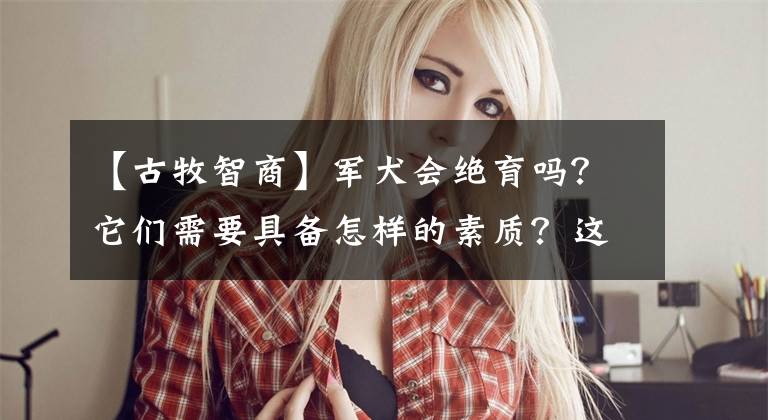 【古牧智商】军犬会绝育吗？它们需要具备怎样的素质？这些工作犬付出了太多