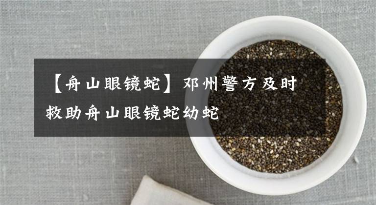 【舟山眼镜蛇】邓州警方及时救助舟山眼镜蛇幼蛇