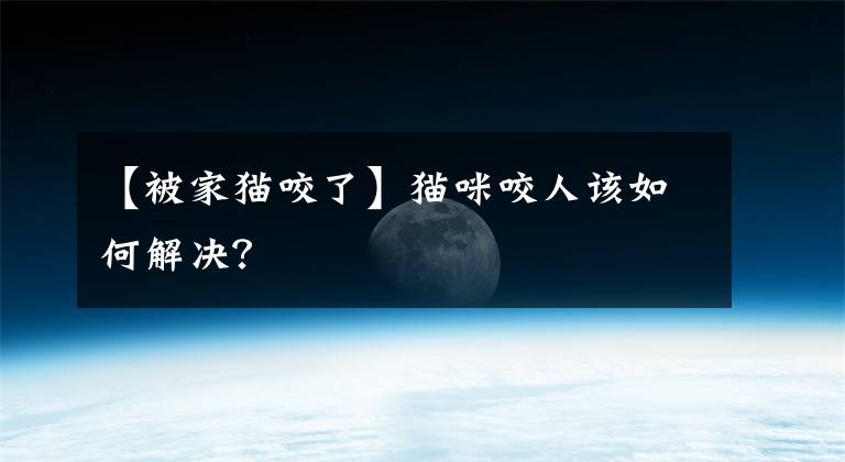 【被家猫咬了】猫咪咬人该如何解决？